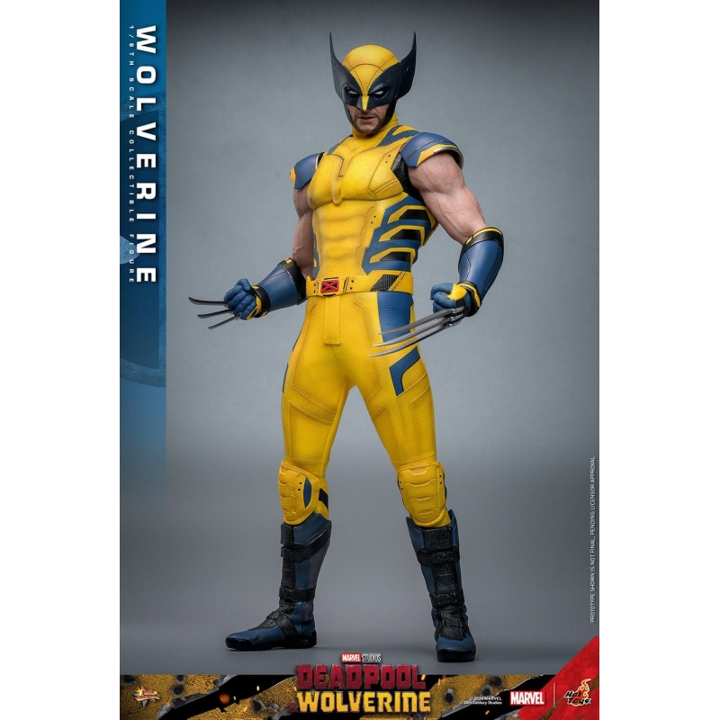 Wolverine Hot Toys Movie Masterpiece Collector Figure