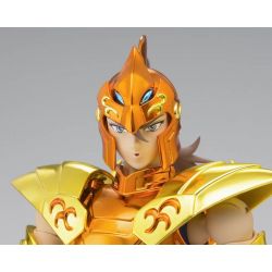 myth cloth ex seahorse