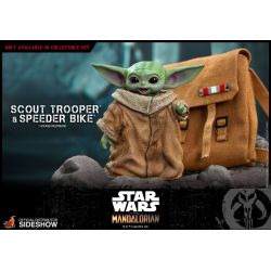 Scout Trooper and Speeder Bike Hot Toys TMS017 (Star Wars The Mandalorian)