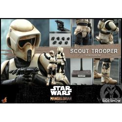 Scout Trooper Hot Toys TMS016 (Star Wars The Mandalorian)