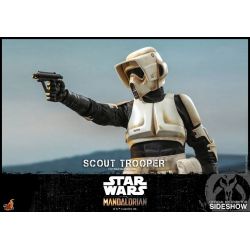 Scout Trooper Hot Toys TMS016 (Star Wars The Mandalorian)