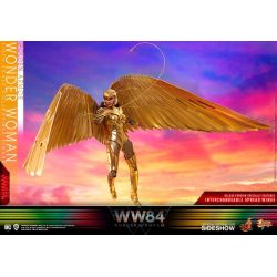 Wonder Woman Hot Toys Deluxe Golden Armor MMS578 (Wonder Woman 1984)