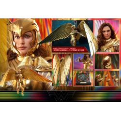 Wonder Woman Hot Toys Deluxe Golden Armor MMS578 (Wonder Woman 1984)