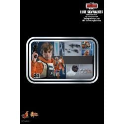 Luke Skywalker Snowspeeder Pilot Hot Toys MMS585 40th Anniversary (Star Wars 5)