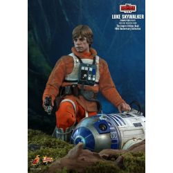 Luke Skywalker Snowspeeder Pilot Hot Toys MMS585 40th Anniversary (Star Wars 5)