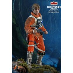 Luke Skywalker Snowspeeder Pilot Hot Toys MMS585 40th Anniversary (Star Wars 5)