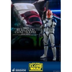 501st Battalion Clone Trooper Hot Toys Deluxe TMS023 (Star Wars The Clone Wars)