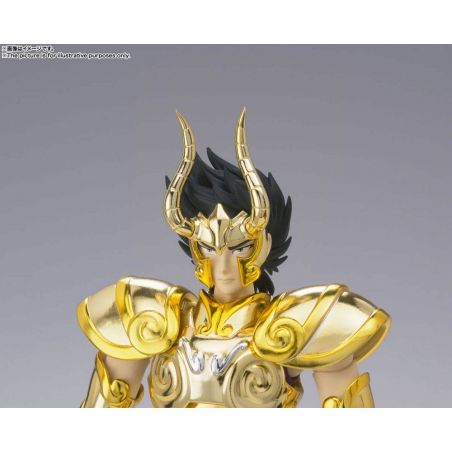 capricorn myth cloth ex