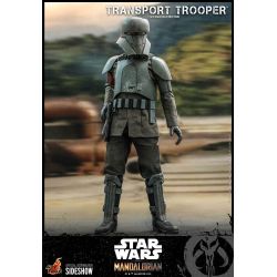 Transport Trooper Hot Toys 1/6 figure TMS030 (Star Wars The Mandalorian)