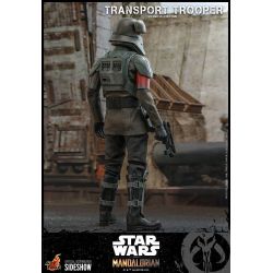 Transport Trooper Hot Toys 1/6 figure TMS030 (Star Wars The Mandalorian)