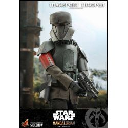 Transport Trooper Hot Toys 1/6 figure TMS030 (Star Wars The Mandalorian)