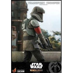 Transport Trooper Hot Toys 1/6 figure TMS030 (Star Wars The Mandalorian)