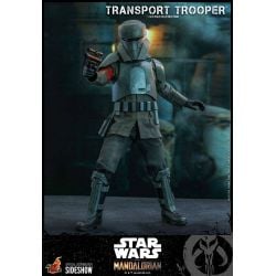 Figurine 1/6 Transport Trooper Hot Toys TMS030 (Star Wars The Mandalorian)