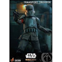 Transport Trooper Hot Toys 1/6 figure TMS030 (Star Wars The Mandalorian)
