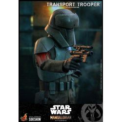 Transport Trooper Hot Toys 1/6 figure TMS030 (Star Wars The Mandalorian)