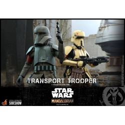 Transport Trooper Hot Toys 1/6 figure TMS030 (Star Wars The Mandalorian)