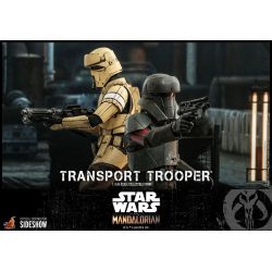 Transport Trooper Hot Toys 1/6 figure TMS030 (Star Wars The Mandalorian)