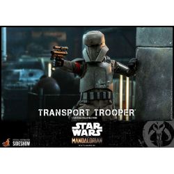 Transport Trooper Hot Toys 1/6 figure TMS030 (Star Wars The Mandalorian)