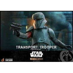 Transport Trooper Hot Toys 1/6 figure TMS030 (Star Wars The Mandalorian)