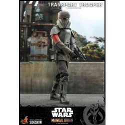 Transport Trooper Hot Toys 1/6 figure TMS030 (Star Wars The Mandalorian)