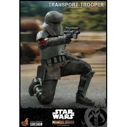 Transport Trooper Hot Toys 1/6 figure TMS030 (Star Wars The Mandalorian)