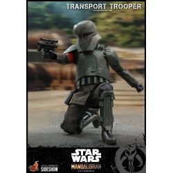 Transport Trooper Hot Toys 1/6 figure TMS030 (Star Wars The Mandalorian)
