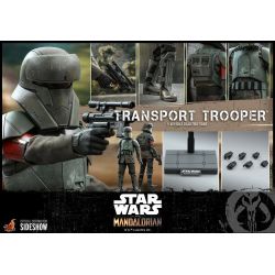 Transport Trooper Hot Toys 1/6 figure TMS030 (Star Wars The Mandalorian)