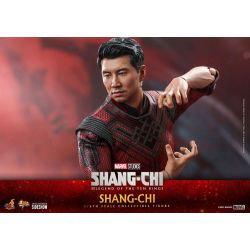 Figurine Shang-Chi Hot Toys MMS614 (Shang-Chi and the Legend of the Ten Rings)
