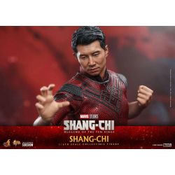 Figurine Shang-Chi Hot Toys MMS614 (Shang-Chi and the Legend of the Ten Rings)
