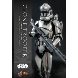 Clone Trooper Hot Toys Movie Masterpiece figure chrome version (Star Wars)