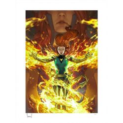 Jean Grey Sideshow Phoenix transformation Fine Art Print (affiche X-Men)