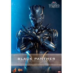 Black Panther Hot Toys Movie Masterpiece figure mms675 (Wakanda forever)