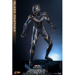 Black Panther Hot Toys Movie Masterpiece figure mms675 (Wakanda forever)