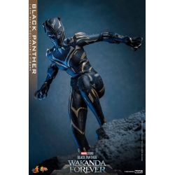 Black Panther Hot Toys Movie Masterpiece figure mms675 (Wakanda forever)