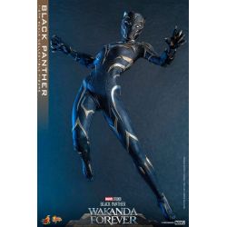 Black Panther Hot Toys Movie Masterpiece figure mms675 (Wakanda forever)