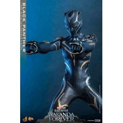 Black Panther Hot Toys Movie Masterpiece figure mms675 (Wakanda forever)