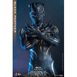 Black Panther Hot Toys Movie Masterpiece figure mms675 (Wakanda forever)