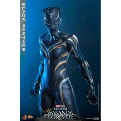 Black Panther Hot Toys Movie Masterpiece figure mms675 (Wakanda forever)