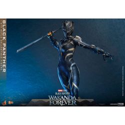 Black Panther Hot Toys Movie Masterpiece figure mms675 (Wakanda forever)