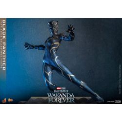 Black Panther Hot Toys Movie Masterpiece figure mms675 (Wakanda forever)