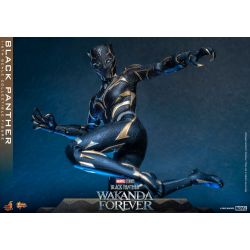 Black Panther Hot Toys Movie Masterpiece figure mms675 (Wakanda forever)