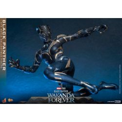 Black Panther Hot Toys Movie Masterpiece figure mms675 (Wakanda forever)