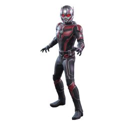 Ant-Man figurine Movie Masterpiece Hot Toys MMS690 (Ant-Man and the Wasp - Quantumania)