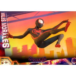 Miles Morales Hot Toys figure MMS710 (Spider-Man Accross the spider-verse)