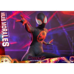 Figurine Hot Toys Miles Morales MMS710 (Spider-Man Accross the spider-verse)