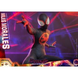 Miles Morales Hot Toys figure MMS710 (Spider-Man Accross the spider-verse)