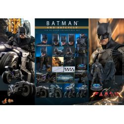 Batman (and Batcycle) Hot Toys MMS705 (figurine The Flash)