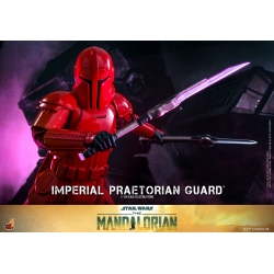 Imperial Praetorian Guard TMS108 TV Masterpiece Hot Toys (figurine Star Wars The Mandalorian)