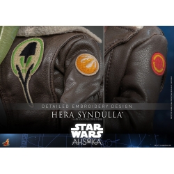Hera Syndulla Hot Toys TV Masterpiece figure TMS113 (Star Wars Ahsoka)