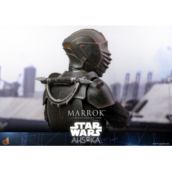 Marrok Hot Toys TV Masterpiece figure TMS117 (Star Wars Ahsoka)